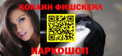 индика Сланцы