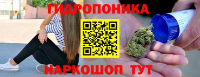 индика Сланцы