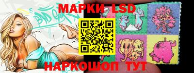 индика Сланцы