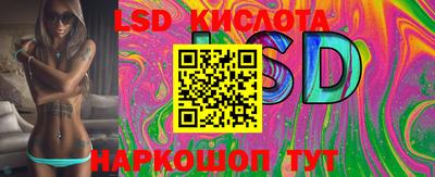 индика Сланцы
