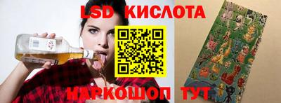 индика Сланцы