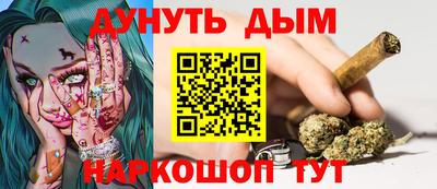 индика Сланцы