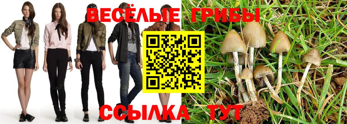 Псилоцибиновые грибы GOLDEN TEACHER Санкт-Петербург