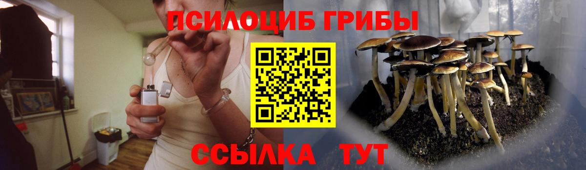 Галлюциногенные грибы мицелий  Вход с VPN  Псилоцибиновые грибы GOLDEN TEACHER  Санкт-Петербург 